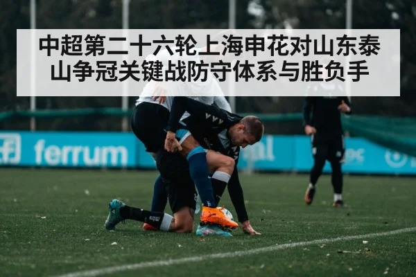 中超第二十六轮上海申花对山东泰山争冠关键战防守体系与胜负手